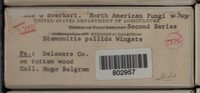 Image Associated With the Occurence